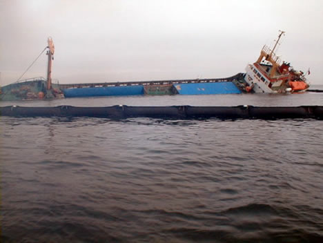 KARAYA OTURAN MERSİN D BATTI galerisi resim 3