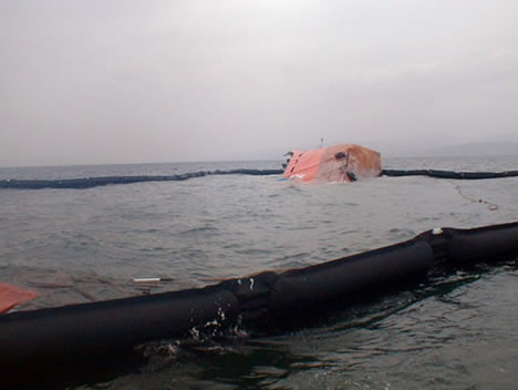 KARAYA OTURAN MERSİN D BATTI galerisi resim 5