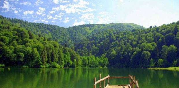 Doğu Karadeniz'e panoramik tanıtım galerisi resim 7