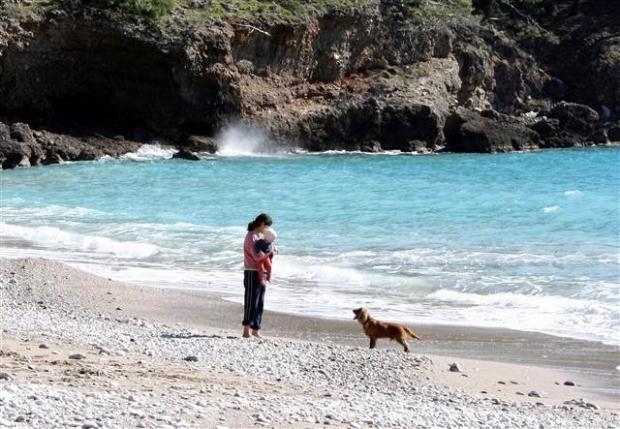 Köpek denize giden bebeği böyle durdurdu galerisi resim 5