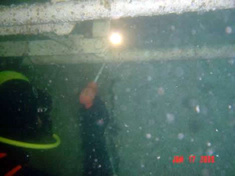 HAYAT-N BATIĞI ÇIKARILDI galerisi resim 12