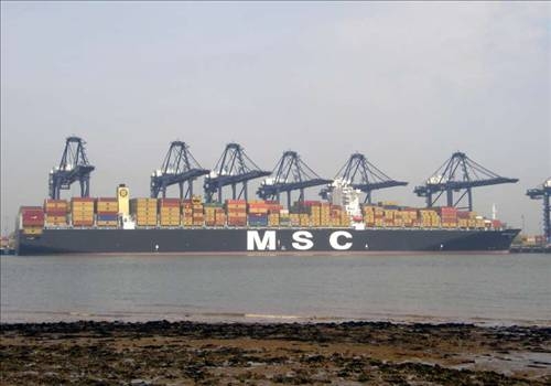 Dünyanın en büyük gemileri galerisi resim 15