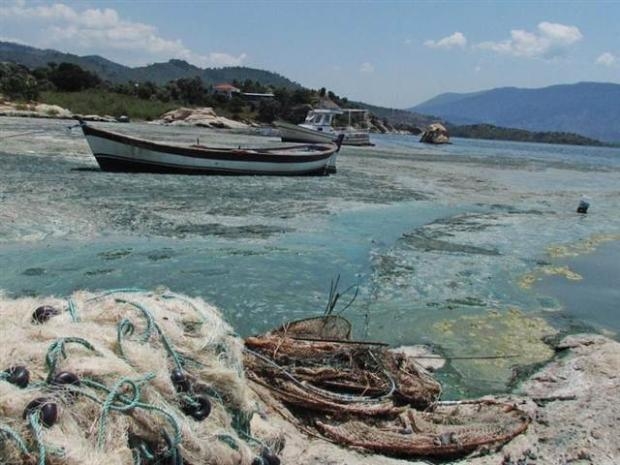 Yeşile dönen Bafa Gölü köpürdü galerisi resim 10