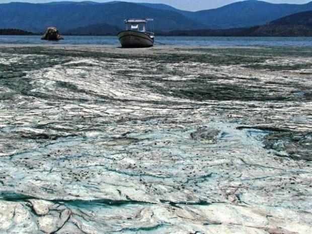 Yeşile dönen Bafa Gölü köpürdü galerisi resim 12