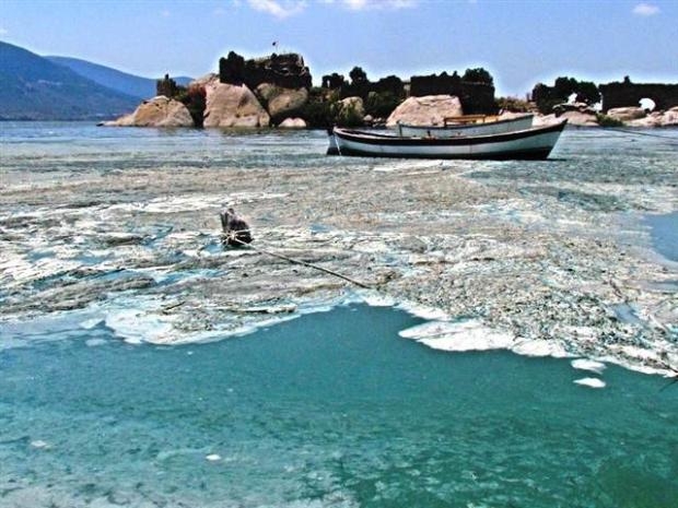 Yeşile dönen Bafa Gölü köpürdü galerisi resim 14