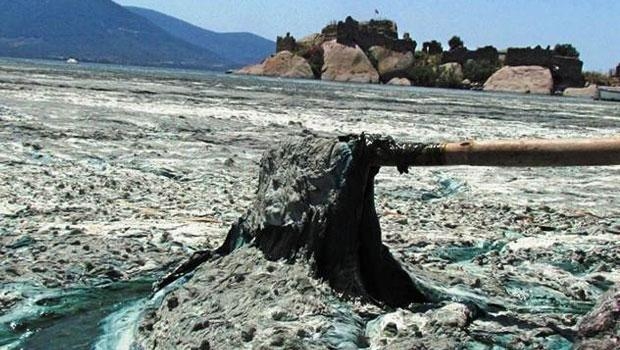 Yeşile dönen Bafa Gölü köpürdü galerisi resim 16