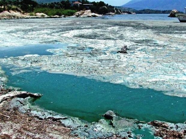 Yeşile dönen Bafa Gölü köpürdü galerisi resim 4