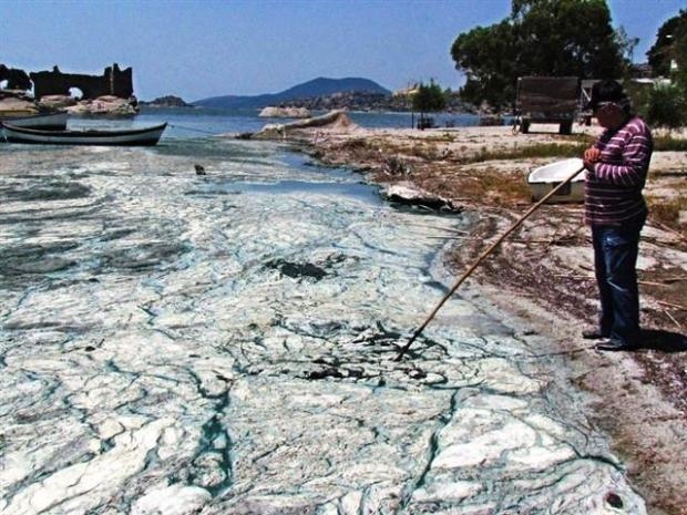 Yeşile dönen Bafa Gölü köpürdü galerisi resim 6