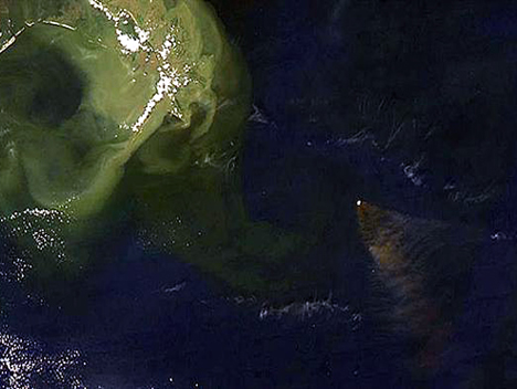 DENİZALTILAR KÖRFEZ'İ TEMİZLİYOR galerisi resim 3