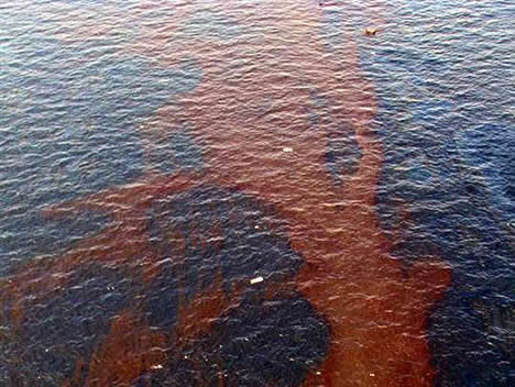 DENİZALTILAR KÖRFEZ'İ TEMİZLİYOR galerisi resim 5