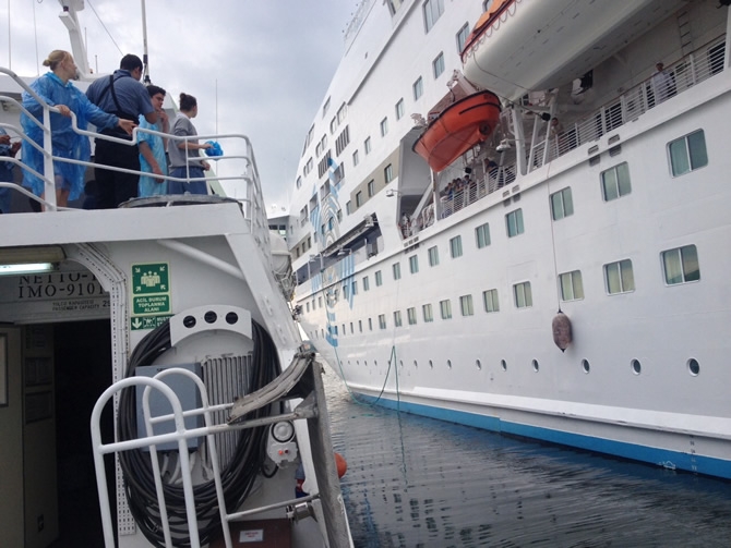 GESTAŞ, CELESTYAL CRYSTAL gemisindeki yolcuları tahliye ediyor galerisi resim 19