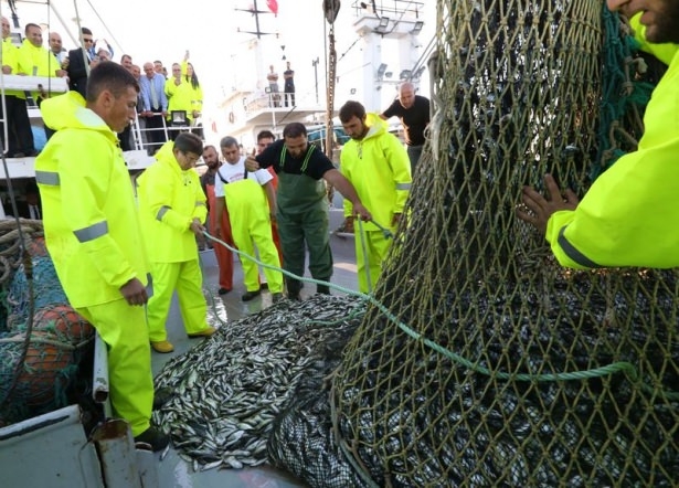 Başbaban Davutoğlu, denizden 80 kasa istavritle döndü galerisi resim 10