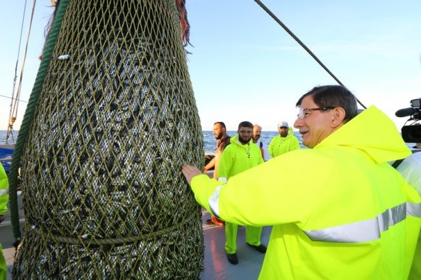 Başbaban Davutoğlu, denizden 80 kasa istavritle döndü galerisi resim 19