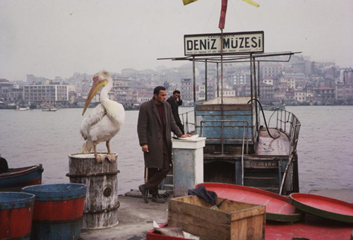 1965 yılı İstanbul Boğazı galerisi resim 10