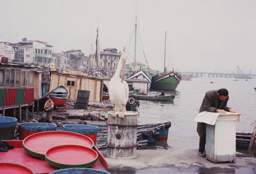 1965 yılı İstanbul Boğazı galerisi resim 9