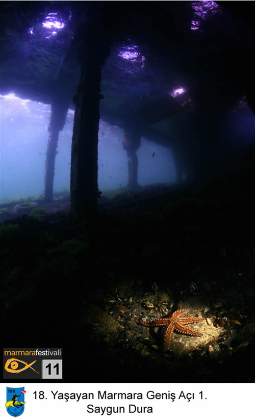 11. Yaşayan Marmara Festivali galerisi resim 17
