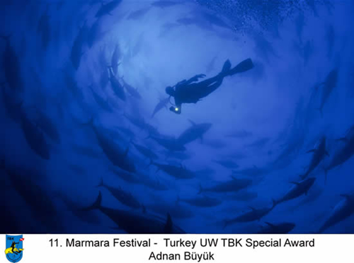 11. Yaşayan Marmara Festivali galerisi resim 2