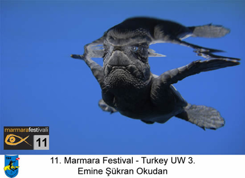 11. Yaşayan Marmara Festivali galerisi resim 3