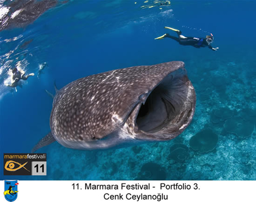 11. Yaşayan Marmara Festivali galerisi resim 6