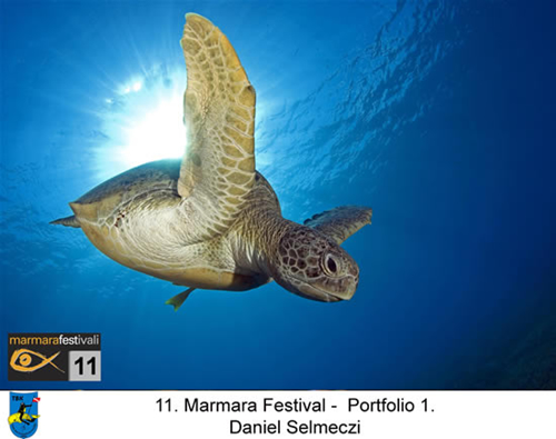 11. Yaşayan Marmara Festivali galerisi resim 8