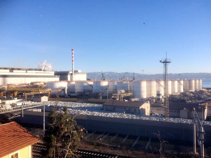 İzmit Körfezi'nde sızan petrol deniz kirliliğine neden oldu galerisi resim 11