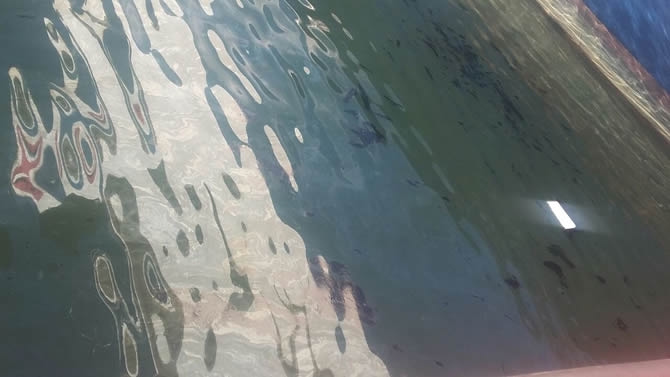 İzmit Körfezi'nde sızan petrol deniz kirliliğine neden oldu galerisi resim 17