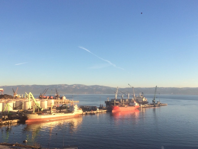 İzmit Körfezi'nde sızan petrol deniz kirliliğine neden oldu galerisi resim 18