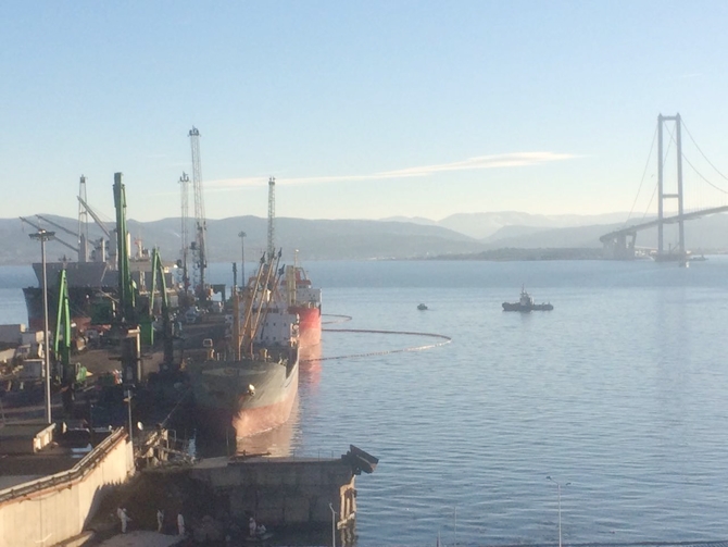 İzmit Körfezi'nde sızan petrol deniz kirliliğine neden oldu galerisi resim 2