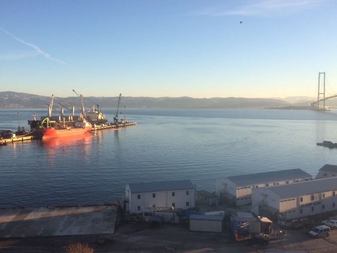 İzmit Körfezi'nde sızan petrol deniz kirliliğine neden oldu galerisi resim 21