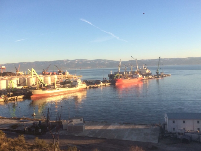 İzmit Körfezi'nde sızan petrol deniz kirliliğine neden oldu galerisi resim 22