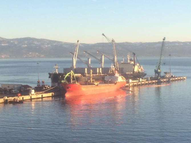 İzmit Körfezi'nde sızan petrol deniz kirliliğine neden oldu galerisi resim 23