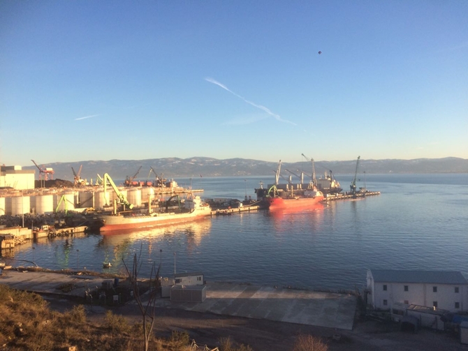 İzmit Körfezi'nde sızan petrol deniz kirliliğine neden oldu galerisi resim 24