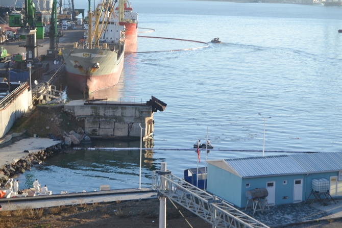 İzmit Körfezi'nde sızan petrol deniz kirliliğine neden oldu galerisi resim 28