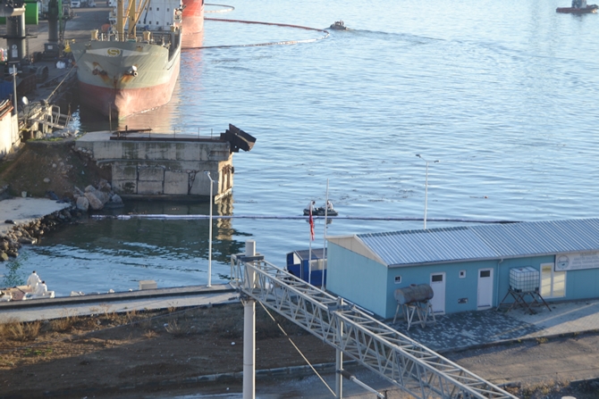 İzmit Körfezi'nde sızan petrol deniz kirliliğine neden oldu galerisi resim 29