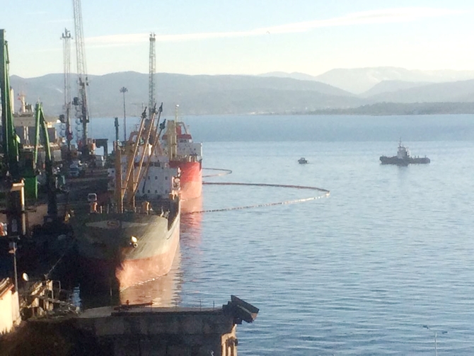 İzmit Körfezi'nde sızan petrol deniz kirliliğine neden oldu galerisi resim 3