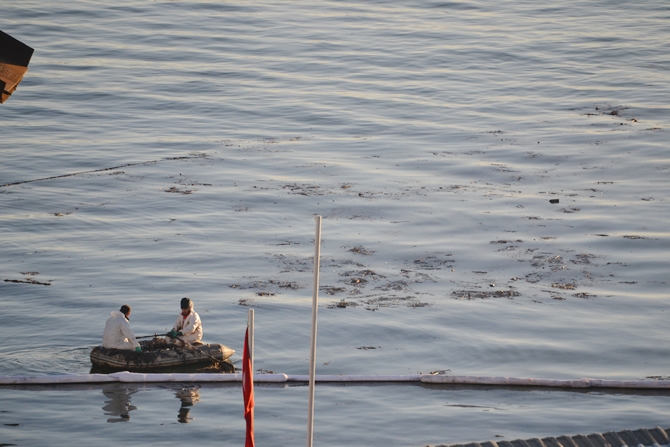 İzmit Körfezi'nde sızan petrol deniz kirliliğine neden oldu galerisi resim 35