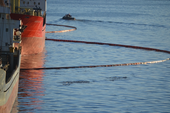 İzmit Körfezi'nde sızan petrol deniz kirliliğine neden oldu galerisi resim 36