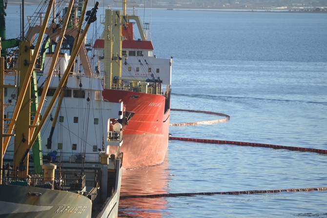 İzmit Körfezi'nde sızan petrol deniz kirliliğine neden oldu galerisi resim 37