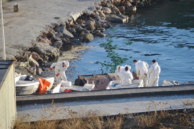 İzmit Körfezi'nde sızan petrol deniz kirliliğine neden oldu galerisi resim 38
