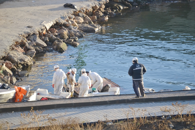 İzmit Körfezi'nde sızan petrol deniz kirliliğine neden oldu galerisi resim 41