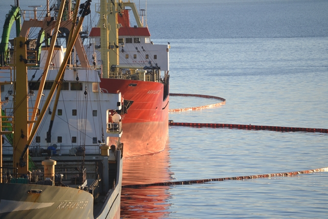 İzmit Körfezi'nde sızan petrol deniz kirliliğine neden oldu galerisi resim 48