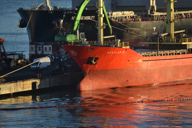 İzmit Körfezi'nde sızan petrol deniz kirliliğine neden oldu galerisi resim 50