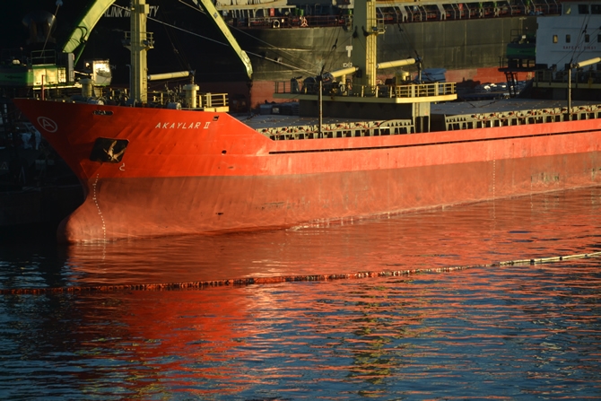 İzmit Körfezi'nde sızan petrol deniz kirliliğine neden oldu galerisi resim 51