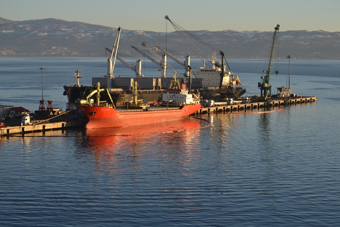 İzmit Körfezi'nde sızan petrol deniz kirliliğine neden oldu galerisi resim 52