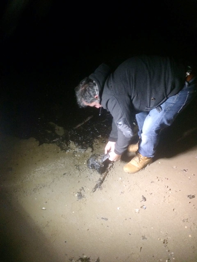 İzmit Körfezi'nde sızan petrol deniz kirliliğine neden oldu galerisi resim 58