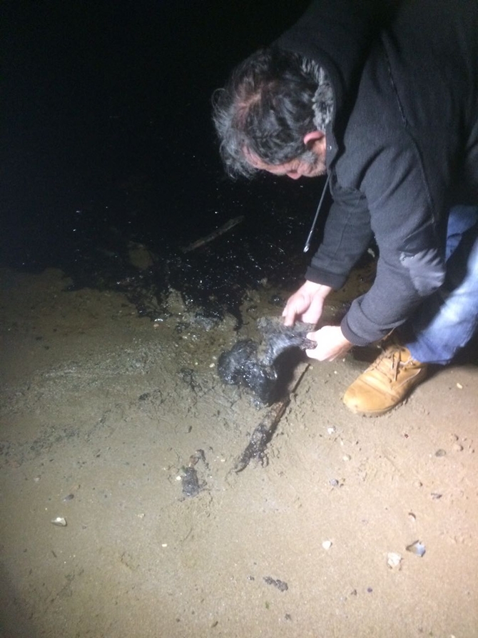 İzmit Körfezi'nde sızan petrol deniz kirliliğine neden oldu galerisi resim 59