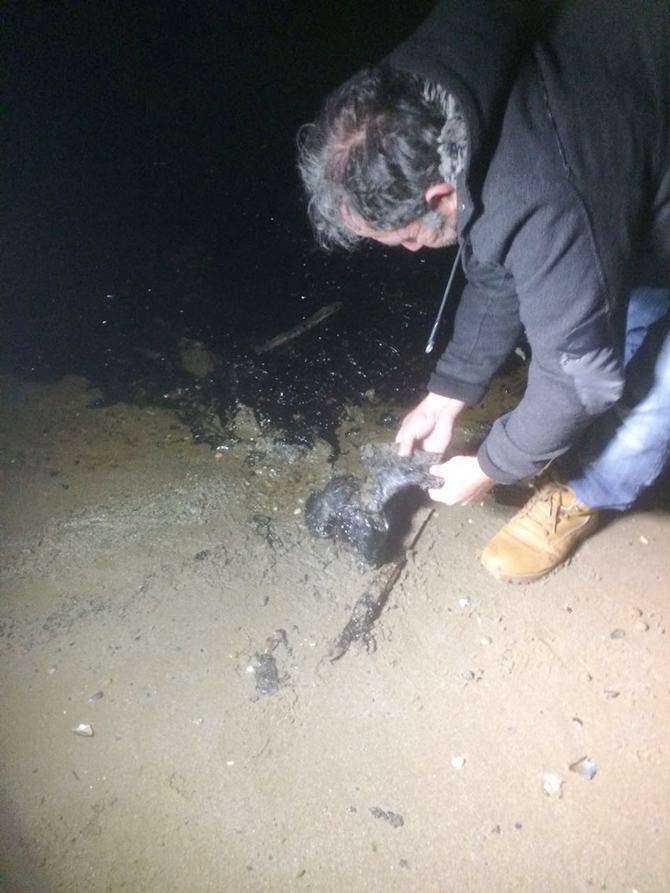 İzmit Körfezi'nde sızan petrol deniz kirliliğine neden oldu galerisi resim 60