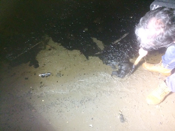 İzmit Körfezi'nde sızan petrol deniz kirliliğine neden oldu galerisi resim 61