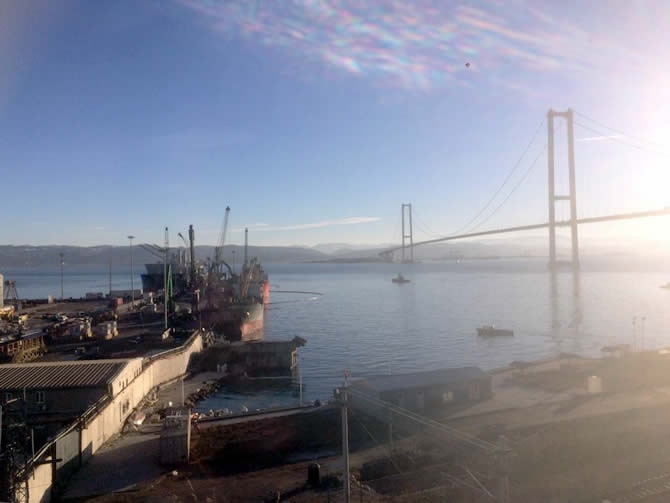 İzmit Körfezi'nde sızan petrol deniz kirliliğine neden oldu galerisi resim 9