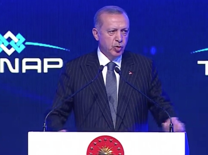 Trans Anadolu Doğalgaz Boru Hattı açıldı galerisi resim 13